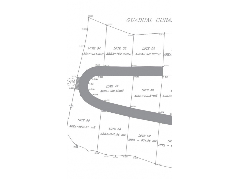 Lote en venta en Chinchiná - 5