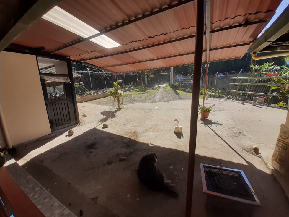 Finca en venta - La Linda - Manizales — foto 5