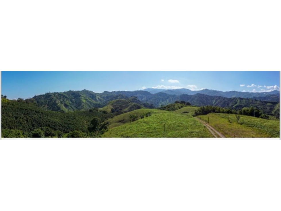Lote en venta - Vereda La Trinidad - Manizales — foto 2