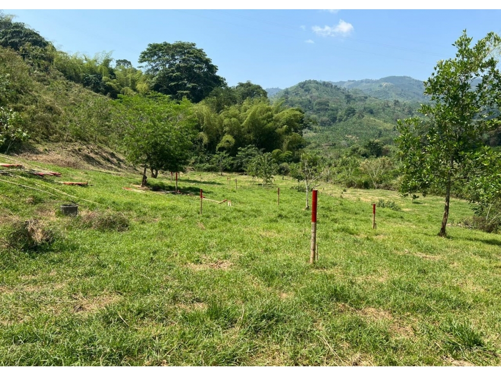 Lote en venta - Cambia - Risaralda - 5