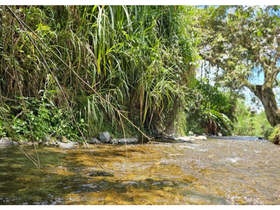Lote en venta - Cambia - Risaralda - 5
