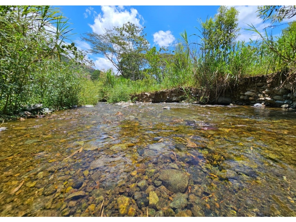 Lote en venta - Cambia - Risaralda - 6
