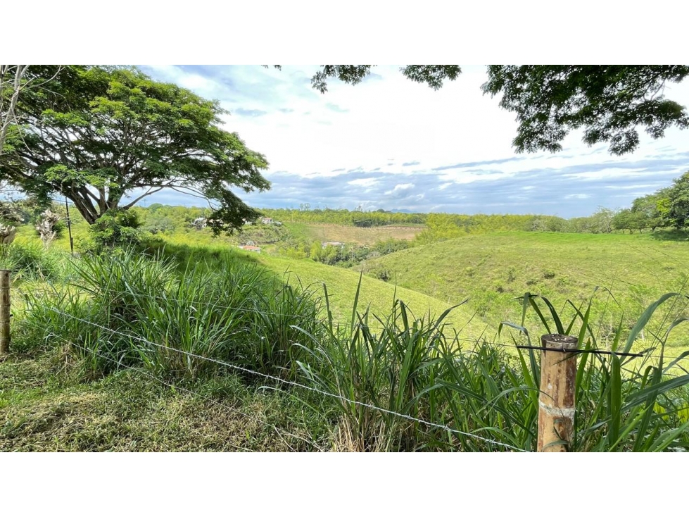 Lote en venta - Cerritos - Risaralda — foto 5
