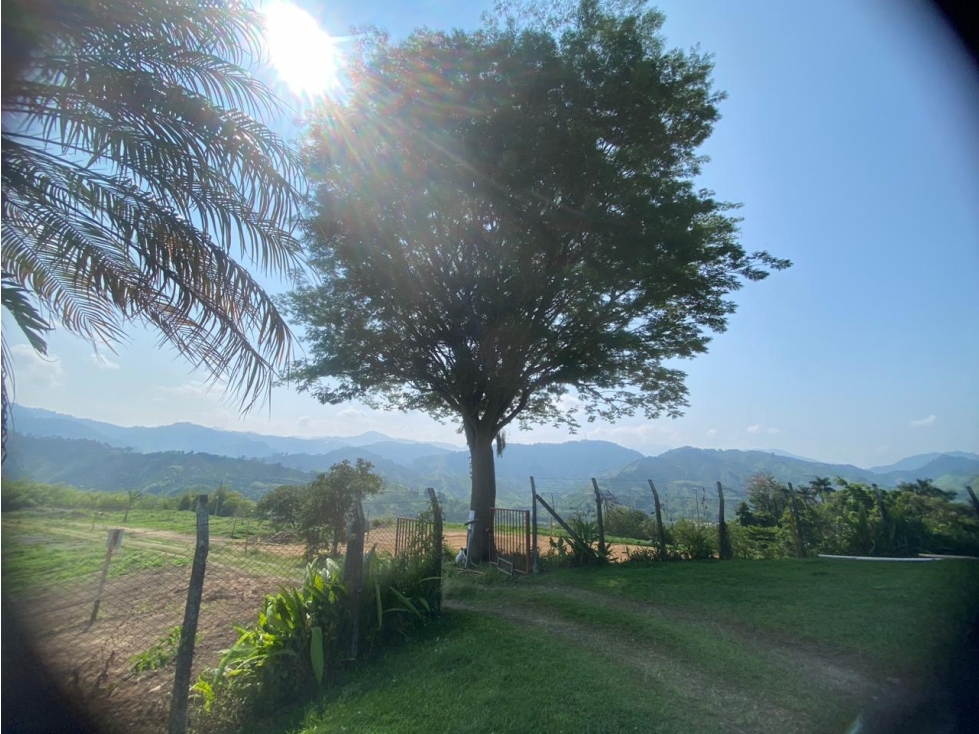 Lote en venta - Vereda La Trinidad - Manizales — foto 5