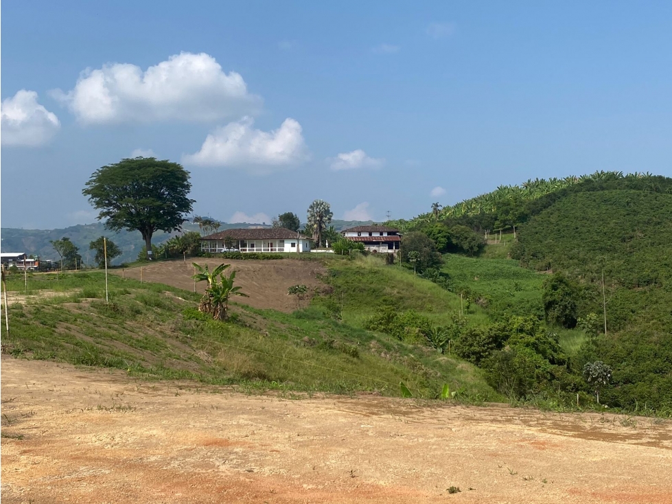 Lote en venta - Vereda La Trinidad - Manizales — foto 5