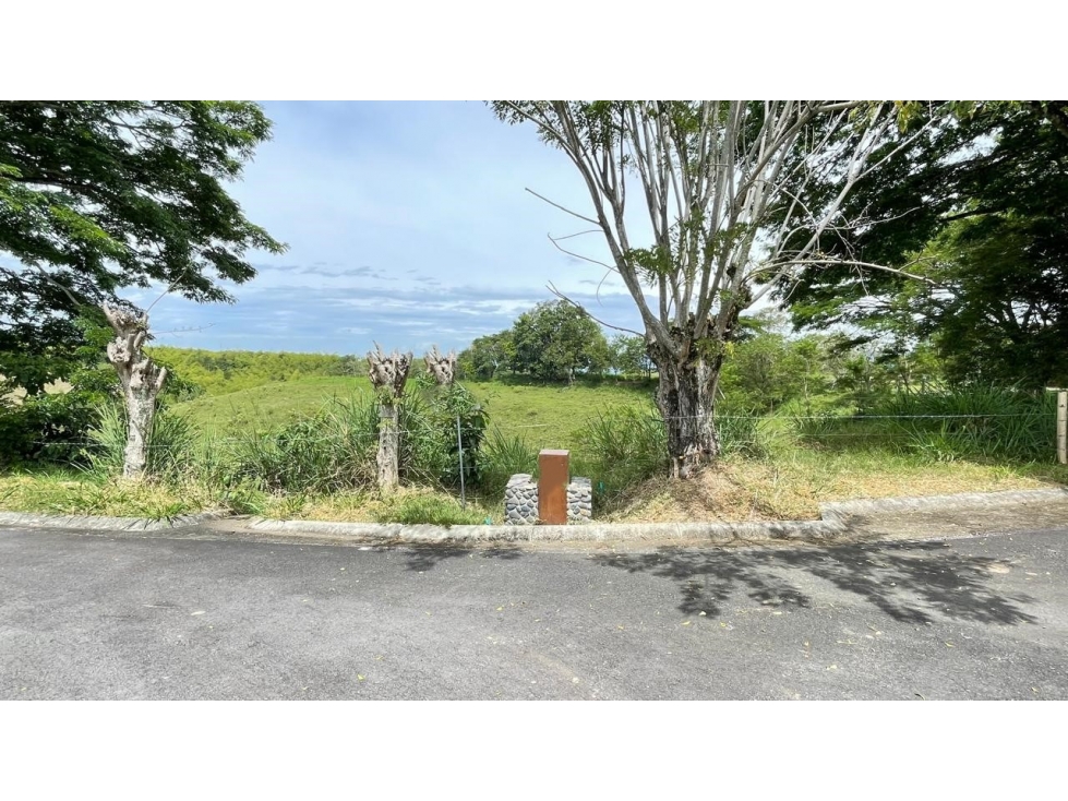 Lote en venta - Cerritos - Risaralda — foto 3
