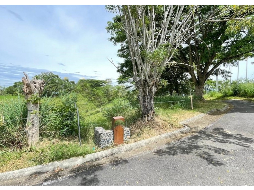 Lote en venta - Cerritos - Risaralda — foto 6