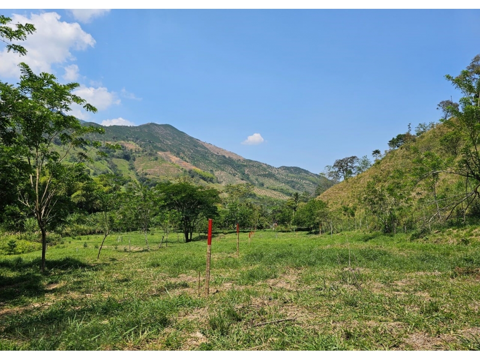 Lote en venta - Cambia - Risaralda - 3