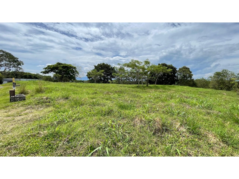 Lote en venta - Cerritos - Risaralda — foto 5