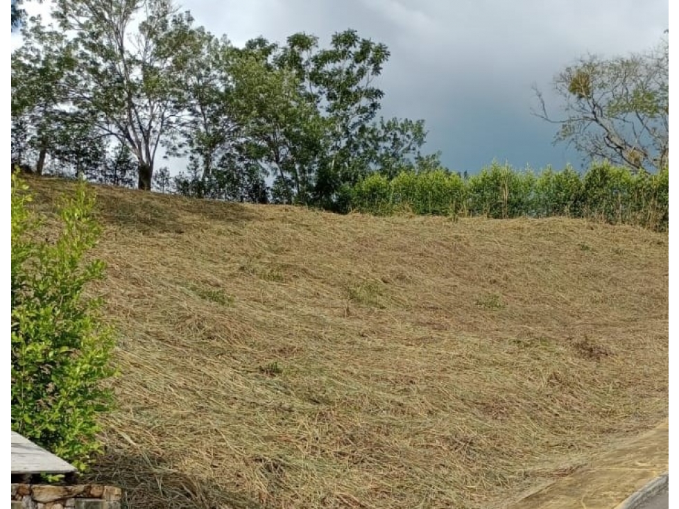 Lote en venta - vereda Los Planes - Neira - 5