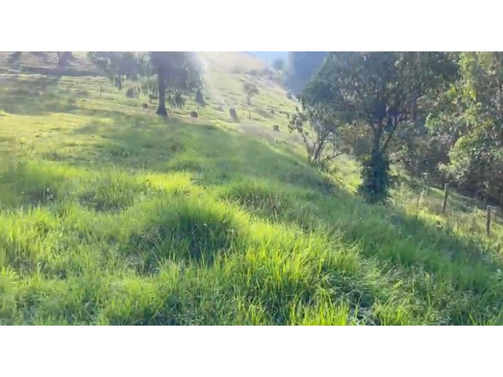 Lote en venta - Maltería - Manizales — foto 3