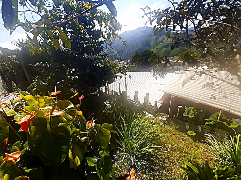 Lote en venta - Malhabar - Manizales — foto 3