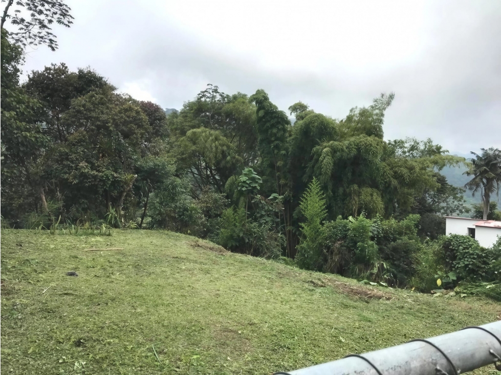 Lote en venta - La Francia - Manizales — foto 2