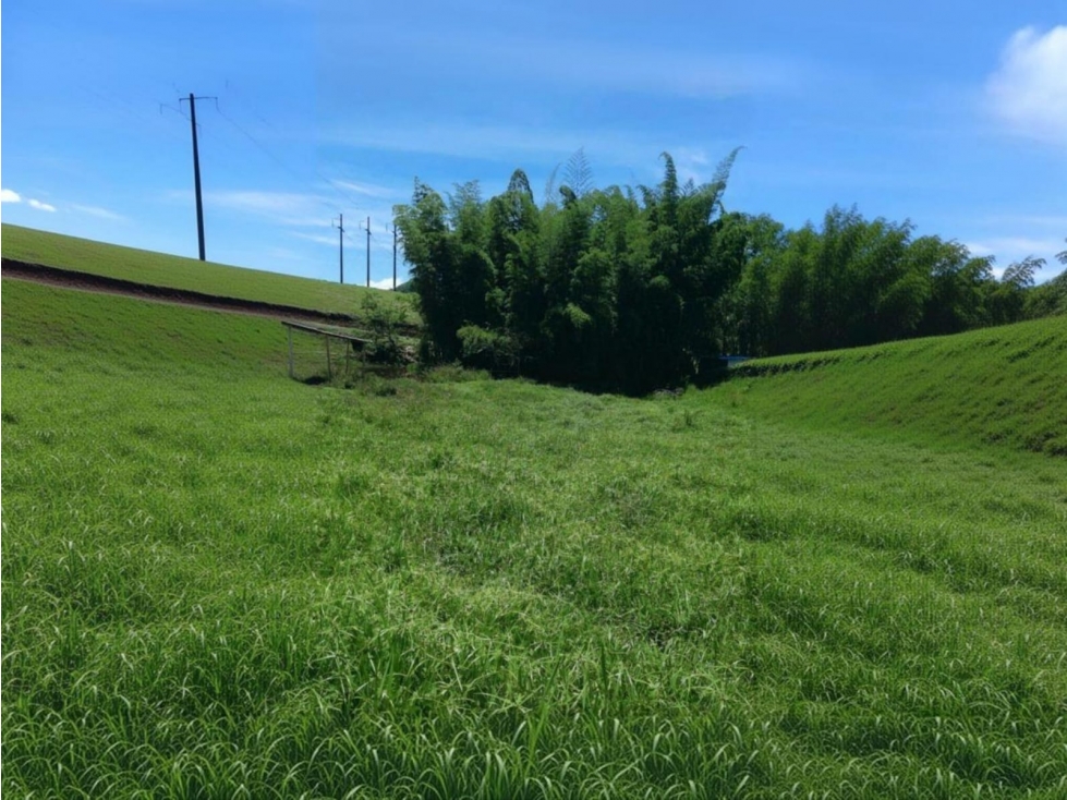 Lote en venta - Vereda el Berrion - Palestina - 2