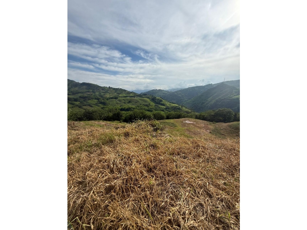 Lote en venta - La Rochela - Palestina - 3