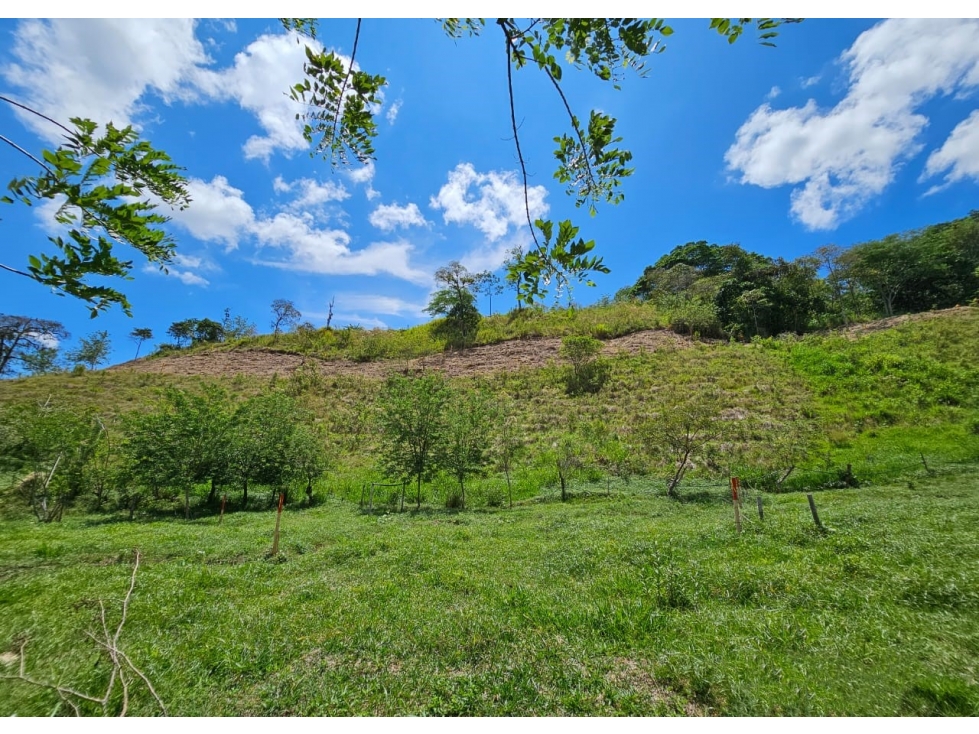 Lote en venta - Cambia - Risaralda - 6