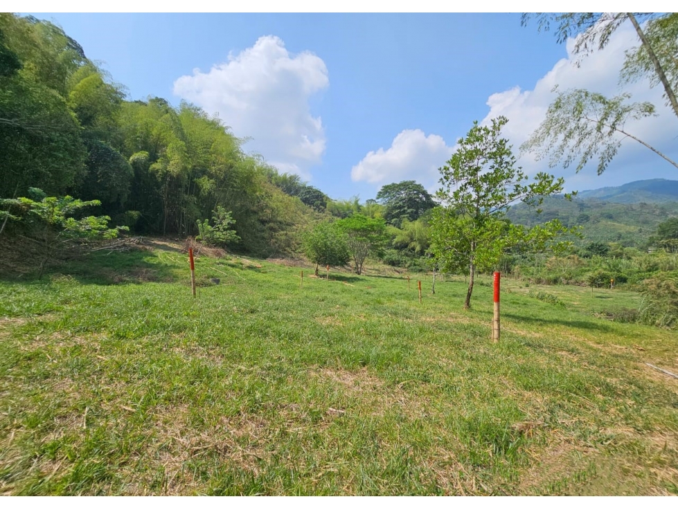Lote en venta - Cambia - Risaralda - 3