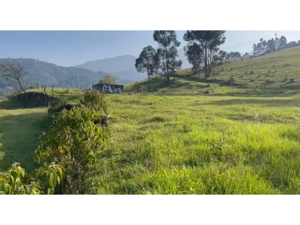 Lote en venta - Maltería - Manizales
