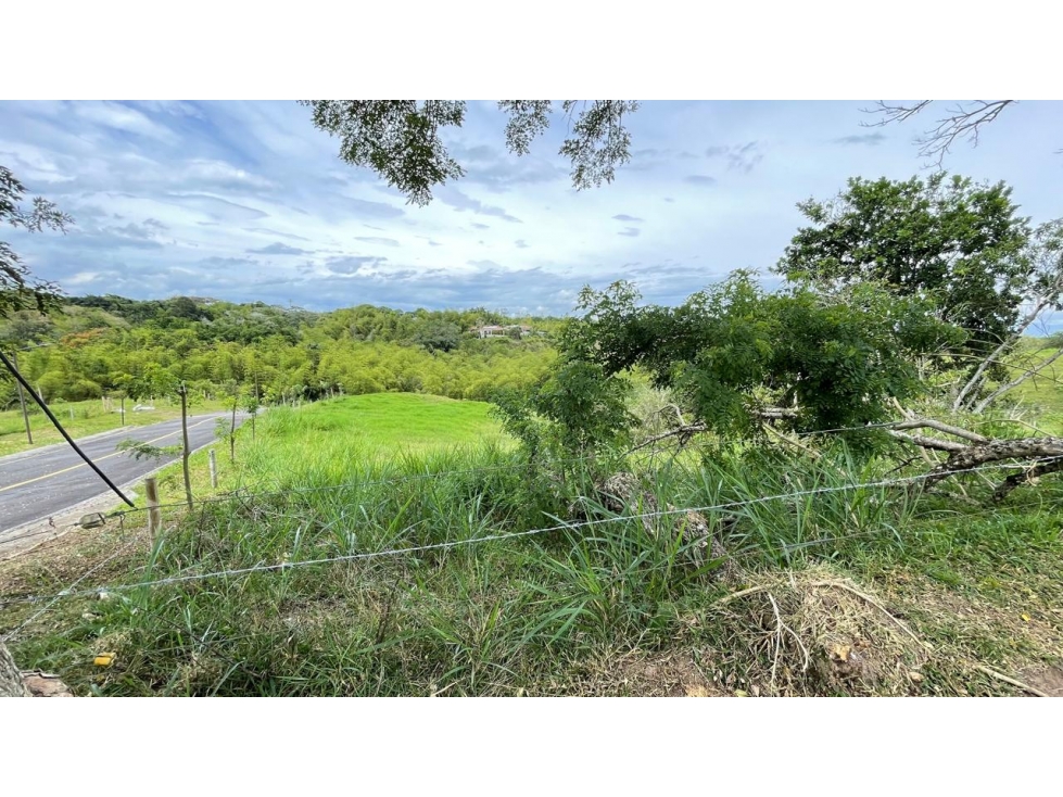 Lote en venta - Cerritos - Risaralda — foto 4