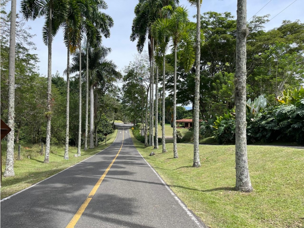 Lote en venta - Cerritos - Risaralda