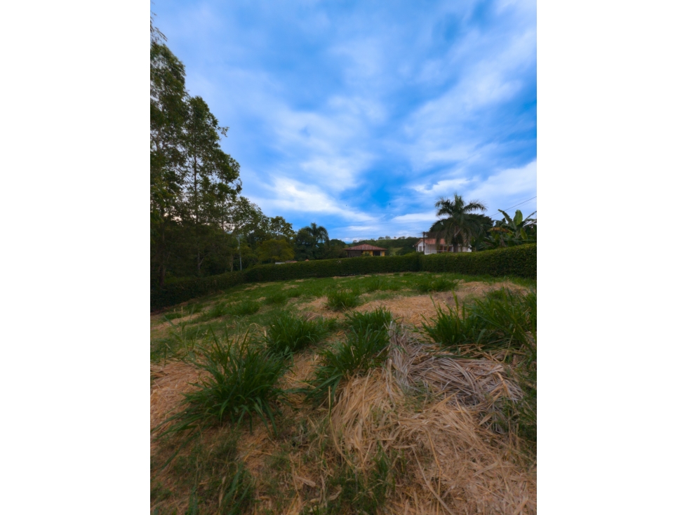 Lote en venta - Neira - Caldas - 2