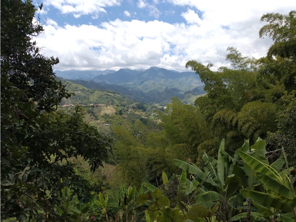 Lote en venta - Pueblo Rico - Neira - 3