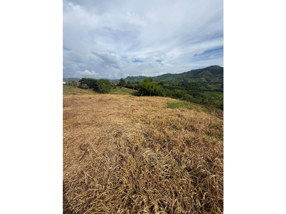 Lote en venta - La Rochela - Palestina - 4