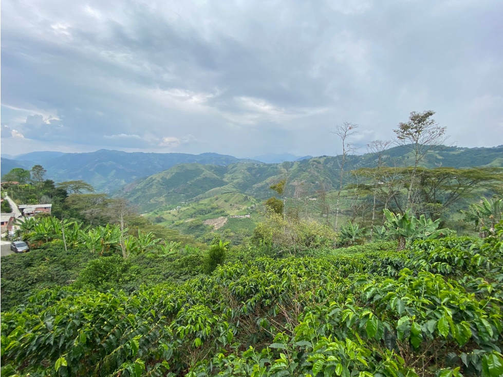 Lote en venta - Quiebra de Vélez - Manizales — foto 5