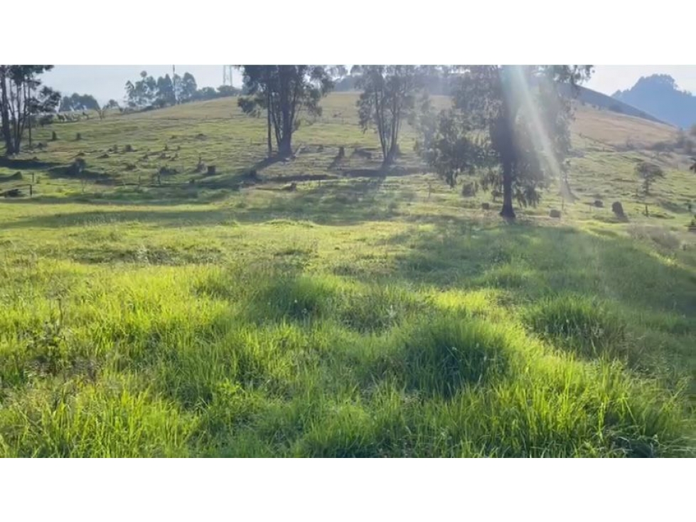 Lote en venta - Maltería - Manizales — foto 4