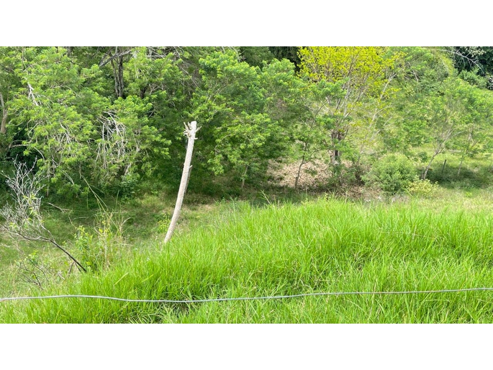 Lote en venta - Cerritos - Risaralda — foto 5
