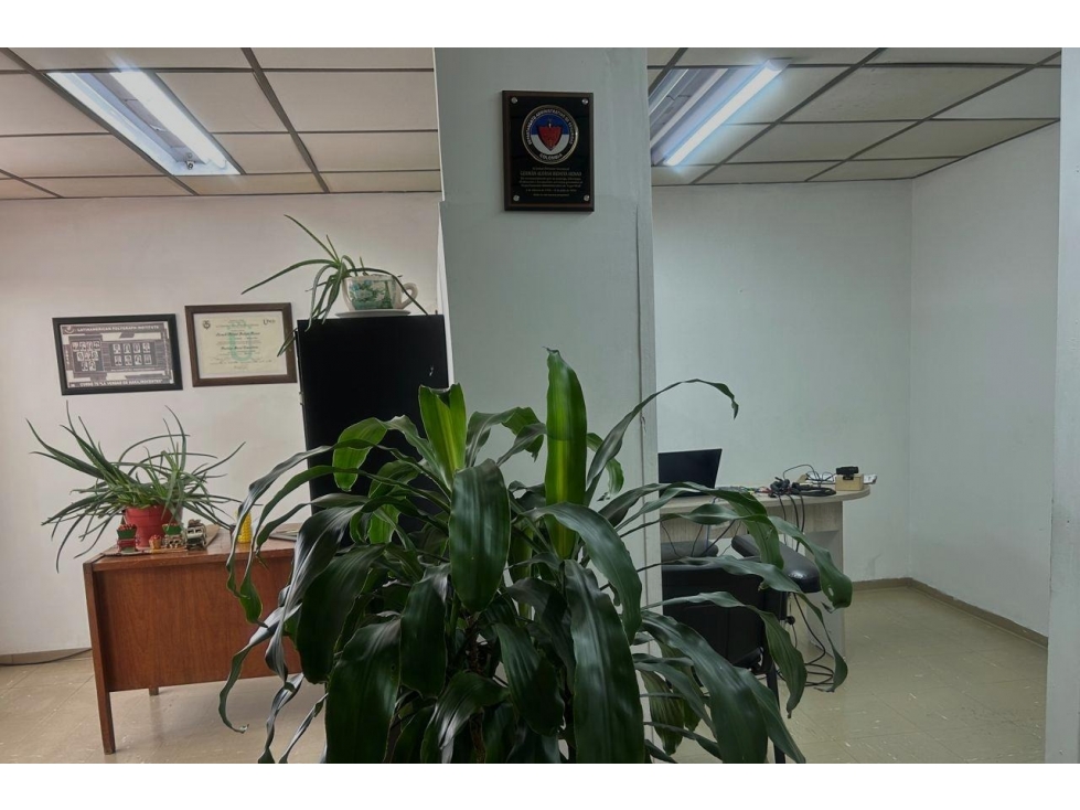 Oficina en venta - Centro - Manizales