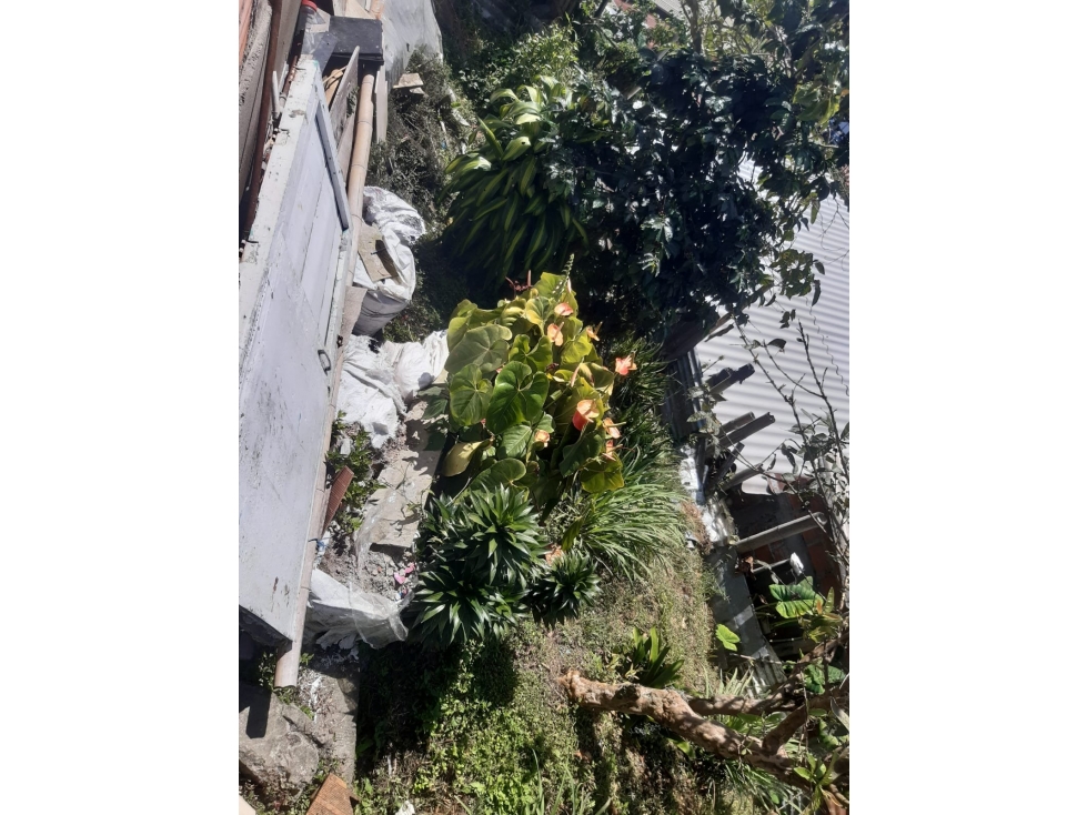 Lote en venta - Malhabar - Manizales — foto 4