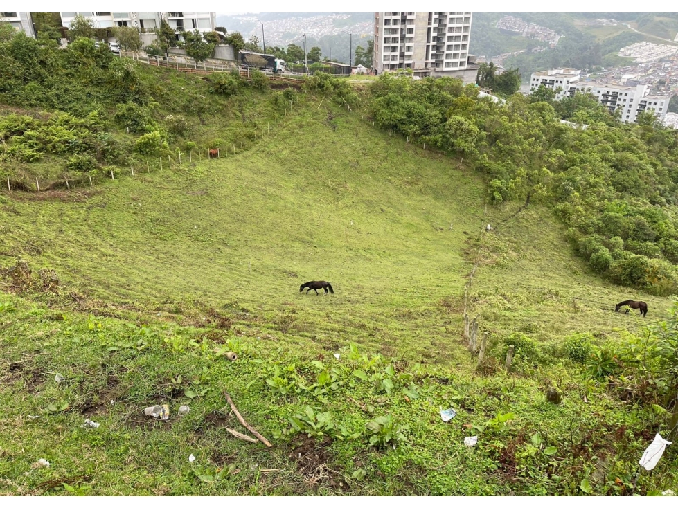 Lote en venta - Cerro de Oro - Manizales — foto 6