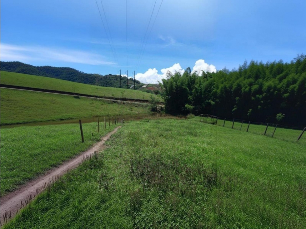 Lote en venta - Vereda el Berrion - Palestina - 4