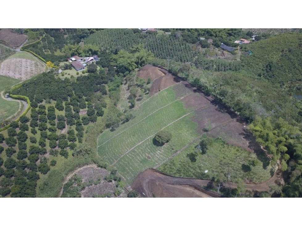 Lote en venta - Palestina - Manizales — foto 5