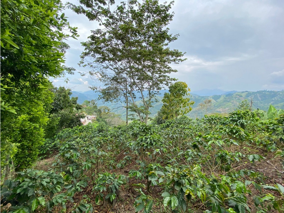 Lote en venta - Quiebra de Vélez - Manizales — foto 6