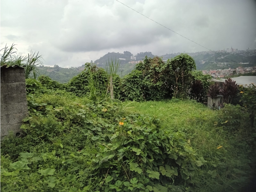 Lote en venta - El Descache - Villamaría - 6