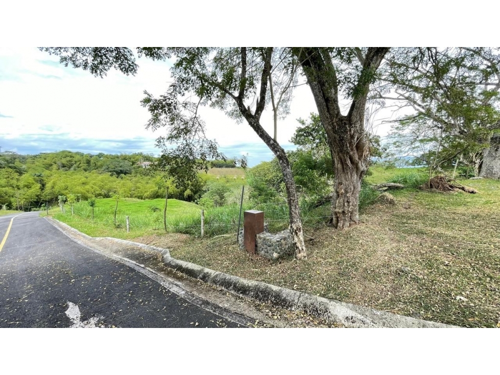 Lote en venta - Cerritos - Risaralda — foto 6