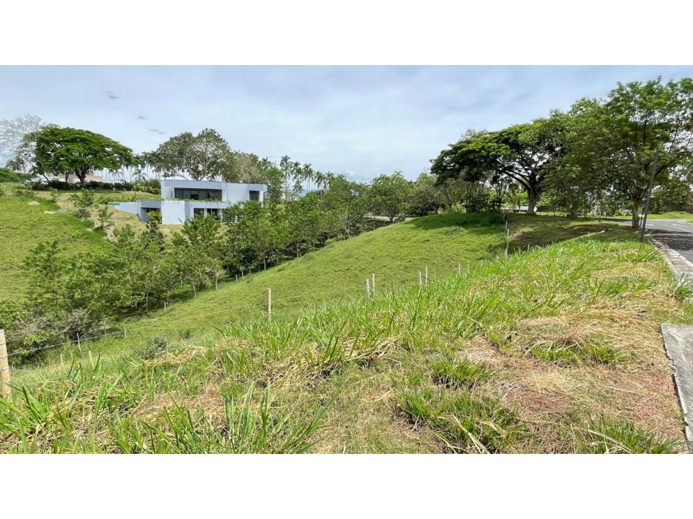 Lote en venta - Cerritos - Risaralda — foto 4