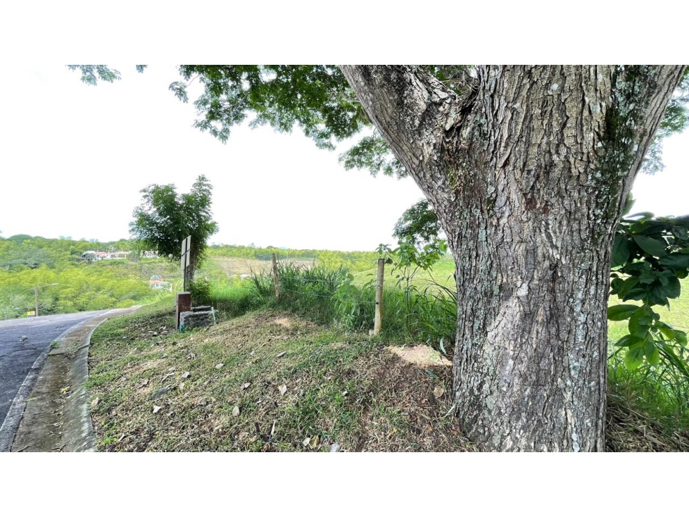 Lote en venta - Cerritos - Risaralda — foto 5