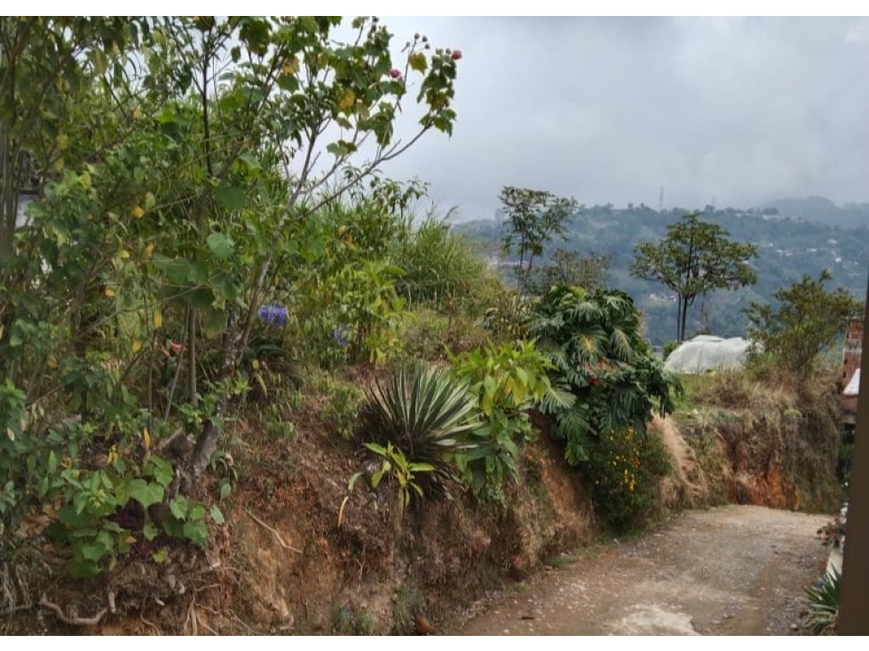 Lote en venta - El Tablazo - Manizales — foto 5