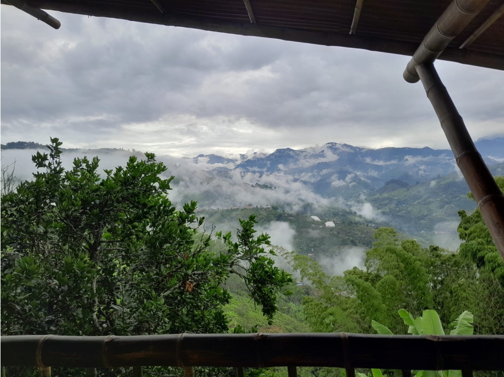 Lote en venta - Pueblo Rico - Neira - 5