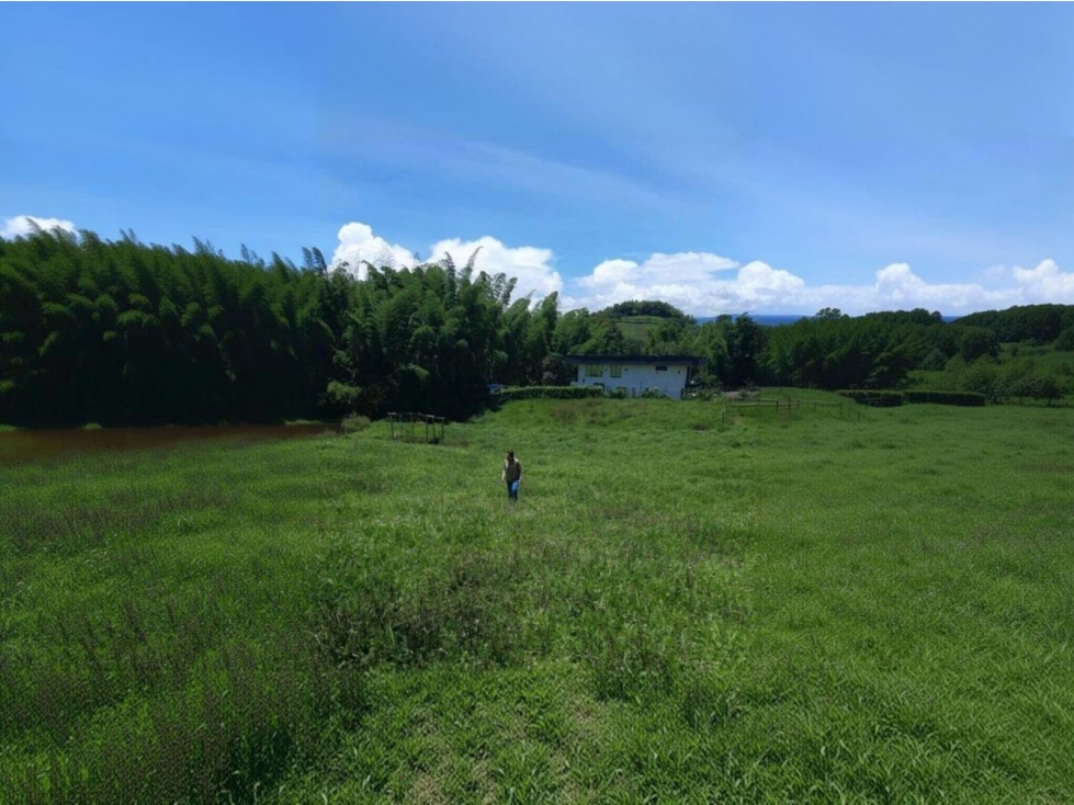 Lote en venta - Vereda el Berrion - Palestina - 5