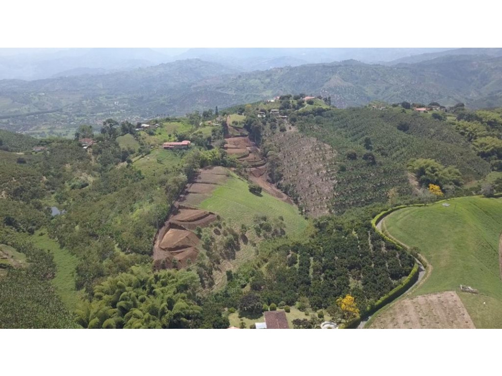 Lote en venta - Palestina - Manizales — foto 6
