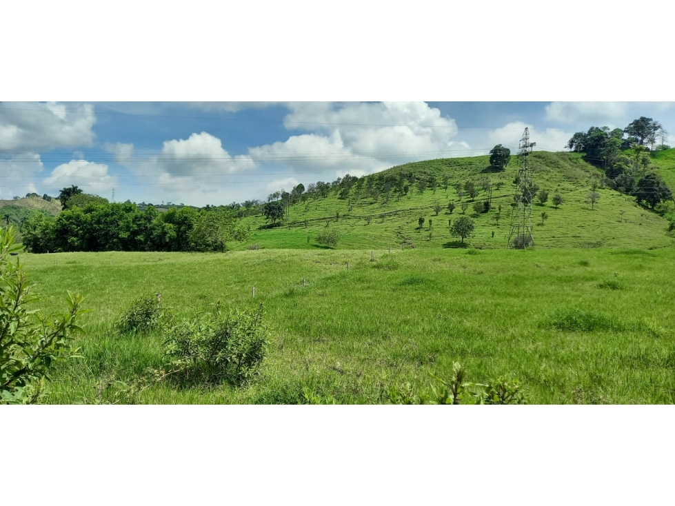 Lote en venta - EL Rosario - Manizales