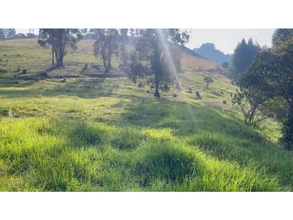 Lote en venta - Maltería - Manizales — foto 6