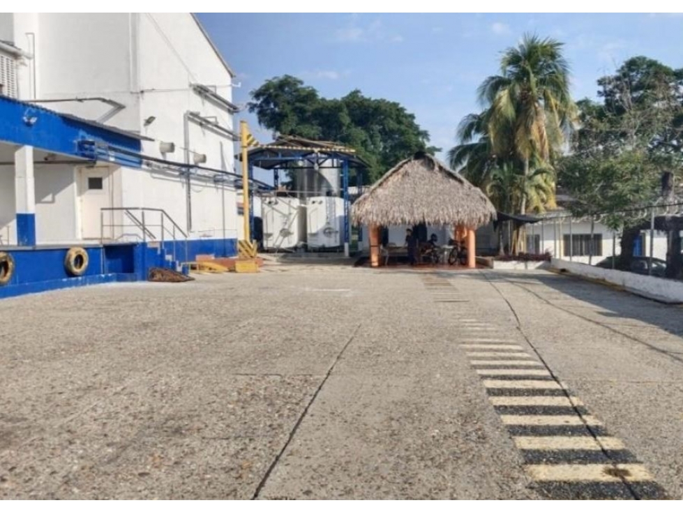 Bodega en venta - Las Palmas - La Dorada - 6