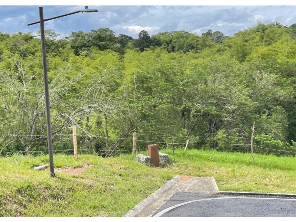 Lote en venta - Cerritos - Risaralda — foto 3