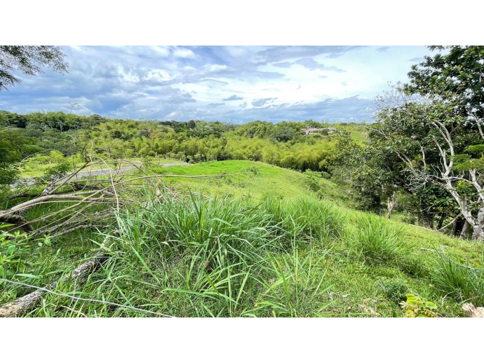 Lote en venta - Cerritos - Risaralda — foto 5