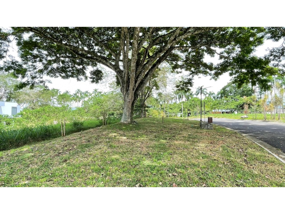 Lote en venta - Cerritos - Risaralda — foto 3